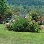 Tatil Evi La Piaggia